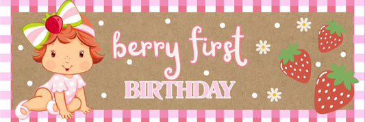 Birthday Party Banner 72x24" Printed & Shipped Ready to Use